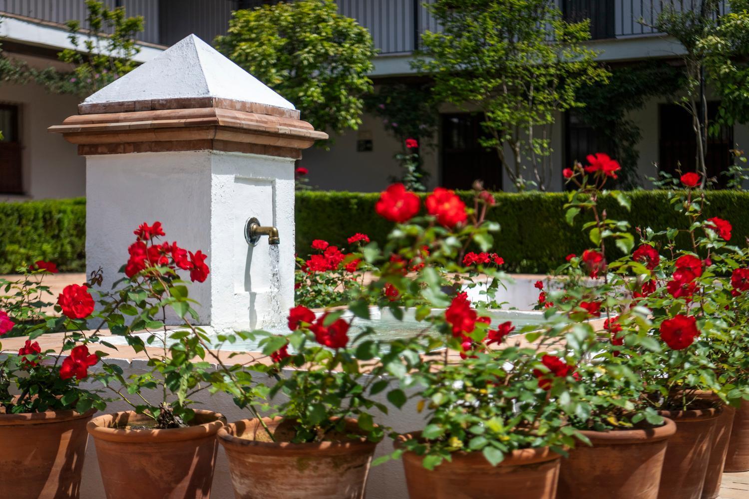 Magno Apartments San Laureano - Private Parking Included Sevilla Eksteriør billede